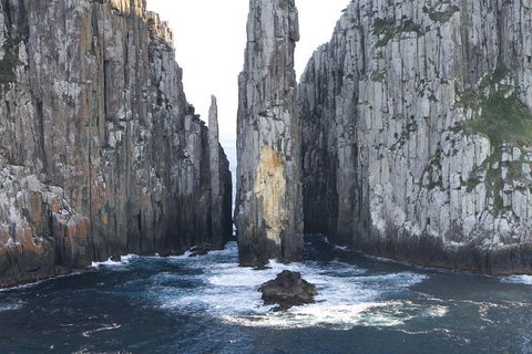 Tasman Island Cruises And Port Arthur Historic Site Day Tour From Hobart - Accommodation Directory 2