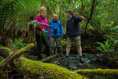 Bruny Island Traveller - Gourmet Tasting And Sightseeing Day Trip From Hobart - Accommodation Directory 1