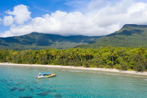 Ocean Safari Great Barrier Reef Experience In Cape Tribulation - Accommodation Directory 2