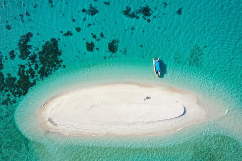 Ocean Safari Great Barrier Reef Experience In Cape Tribulation - Accommodation Directory 3