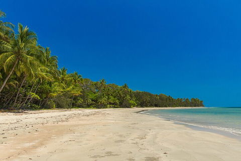 Ocean Safari Great Barrier Reef Experience In Cape Tribulation - Accommodation Directory 4