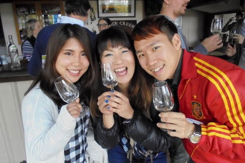 Wine Tasting Day Trip And Swan Valley River Cruise To Perth - Accommodation Directory 3