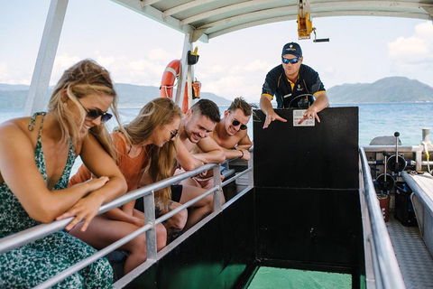 Fitzroy Island Day Trip From Cairns - Accommodation Directory 4