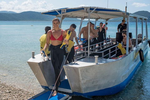 Fitzroy Island Day Trip From Cairns - Accommodation Directory 5