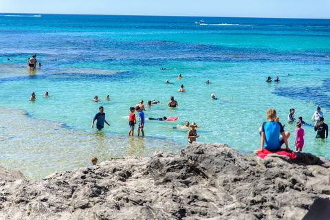 Rottnest Island Roundtrip Fast Ferry From Hillarys Boat Harbour - Accommodation Directory 1