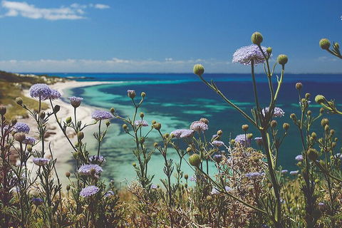 Rottnest Island Full-Day Trip With Guided Island Tour From Perth - Accommodation Directory 2