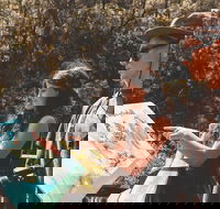 Springbrook andTamborine Rainforest Tour Incl Natural Bridge and Glow Worm Cave - Accommodation Directory