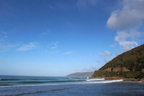 Private Great Ocean Road Day Tour With Early Departure & Early Return (11 Hours) - Accommodation Directory 3