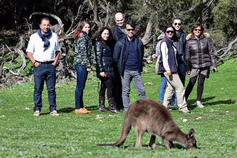 2-Day Kangaroo Island 4WD Small-Group Tour From Adelaide - Accommodation Directory 1