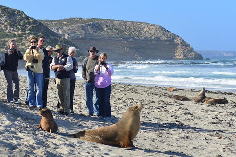 2-Day Kangaroo Island 4WD Small-Group Tour From Adelaide - Accommodation Directory 3