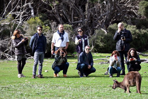 Small-Group Kangaroo Island 4WD Tour From Adelaide - Accommodation Directory 2