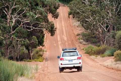 Small-Group Kangaroo Island 4WD Tour From Adelaide - Accommodation Directory 3