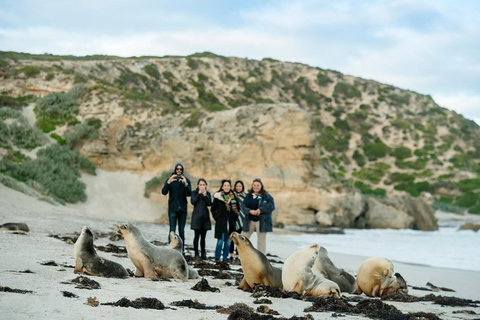 Small-Group Kangaroo Island 4WD Tour From Adelaide - Accommodation Directory 4