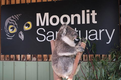 Small-Group Phillip Island Day Trip From Melbourne - Accommodation Directory 3