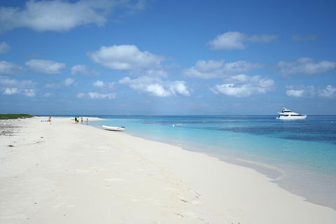 Seastar Luxury Outer Great Barrier Reef Island And Reef Tour From Cairns - Accommodation Directory 3