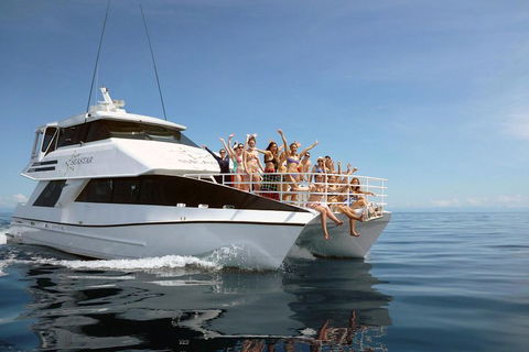 Seastar Luxury Outer Great Barrier Reef Island And Reef Tour From Cairns - Accommodation Directory 4