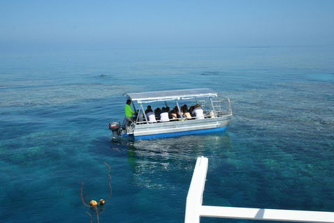 Seastar Luxury Outer Great Barrier Reef Island And Reef Tour From Cairns - Accommodation Directory 5