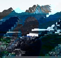Cradle Mountain Park Explorer Guided Tour - Accommodation Directory