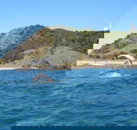 Kayaking with Dolphins in Byron Bay Guided Tour - Accommodation Directory