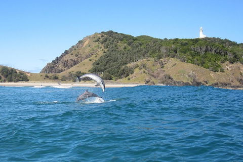 Kayaking With Dolphins In Byron Bay Guided Tour - Accommodation Directory 0