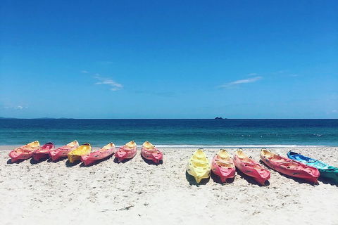 Kayaking With Dolphins In Byron Bay Guided Tour - Accommodation Directory 1