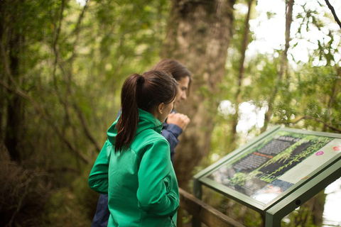 Strahan Day Trip By Air From Hobart Including A Gordon River Cruise - Accommodation Directory 5