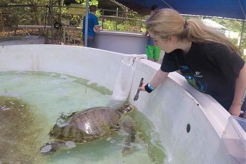 12-Day Great Barrier Reef Marine Conservation Program From Cairns - Accommodation Directory 4