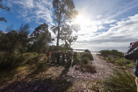 Bruny Island Day Tour, Includes Lunch And Exclusive Lighthouse Tour - Accommodation Directory 5