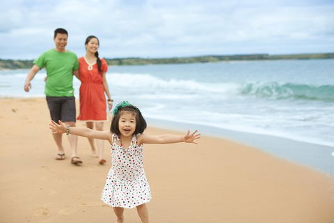 Phillip Island Penguin Parade Day Trip With Koala Conservation Reserve Visit - Accommodation Directory 5