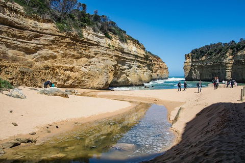 Great Ocean Road Reverse Itinerary With 12 Apostles From Melbourne - Accommodation Directory 2
