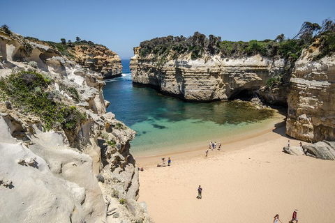 Great Ocean Road Reverse Itinerary With 12 Apostles From Melbourne - Accommodation Directory 5