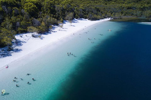 All-Inclusive Fraser Island Day Tour - Accommodation Directory 0