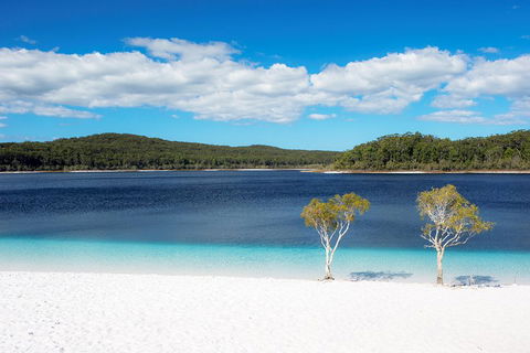 All-Inclusive Fraser Island Day Tour - Accommodation Directory 3