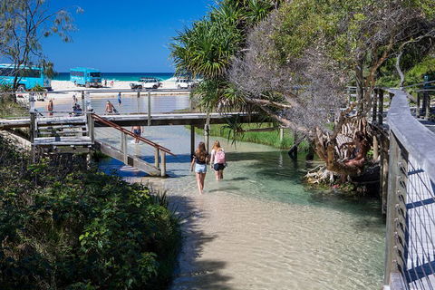 All-Inclusive Fraser Island Day Tour - Accommodation Directory 4
