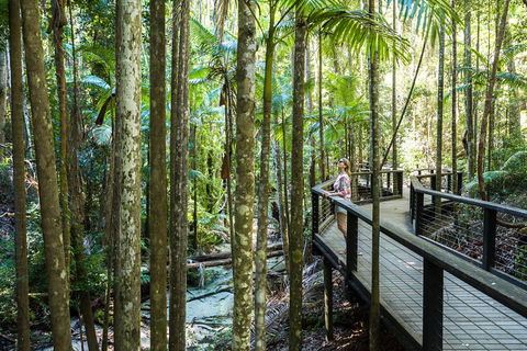 All-Inclusive Fraser Island Day Tour - Accommodation Directory 5