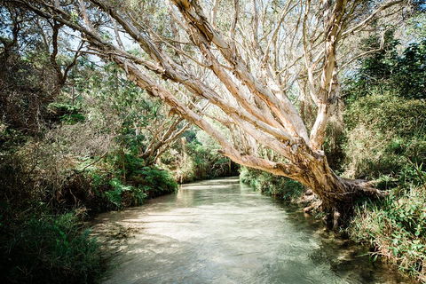 3-Day Fraser Island Resort Package - Accommodation Directory 5