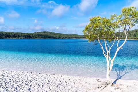 Lake McKenzie Full-Day Tour With Lunch From Hervey Bay - Accommodation Directory 1