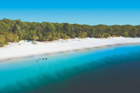 Lake McKenzie Full-Day Tour With Lunch From Hervey Bay - Accommodation Directory 4