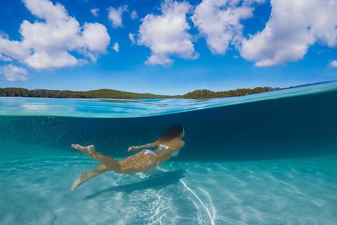 Lake McKenzie Full-Day Tour With Lunch From Hervey Bay - Accommodation Directory 5
