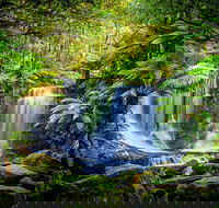 Day Tour in Mt. Field Mt. Wellington Bonorong Wildlife Sanctuary and Richmond - Accommodation Directory