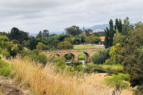 Day Tour In Mt. Field, Mt. Wellington, Bonorong Wildlife Sanctuary And Richmond - Accommodation Directory 3