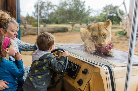 Werribee Open Range Zoo General Admission Ticket - Accommodation Directory 4