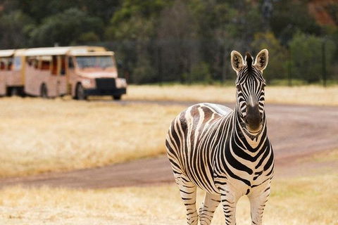 Werribee Open Range Zoo General Admission Ticket - Accommodation Directory 5