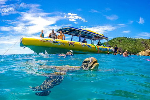 Great Barrier Reef Scenic Flight And Ocean Rafting Whitehaven Beach Day Trip - Accommodation Directory 1