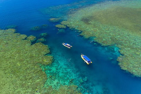 Great Barrier Reef Scenic Flight And Ocean Rafting Whitehaven Beach Day Trip - Accommodation Directory 4