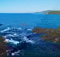 Julian Rocks Byron Bay Cruise - Accommodation Directory