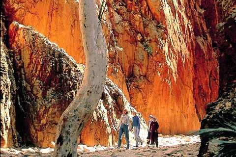 West MacDonnell Ranges Day Trip From Alice Springs - Accommodation Directory 3