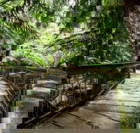 12 Apostles Eco-Friendly Great Ocean Road Iconic Adventure from Melbourne - Accommodation Directory