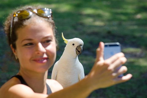 Small-Group Great Ocean Road Experience And Surf Coast Tour - Accommodation Directory 3