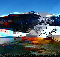 Express Jet Boat Ride  Aquaduck - Accommodation Directory